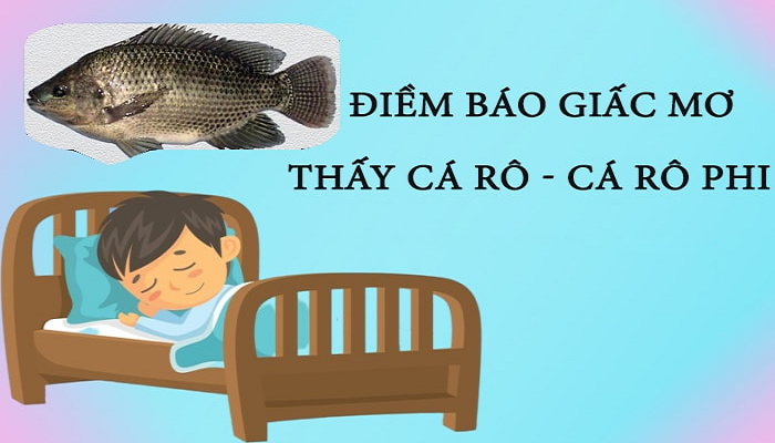 Mơ thấy cá rô mang đến điềm báo may mắn