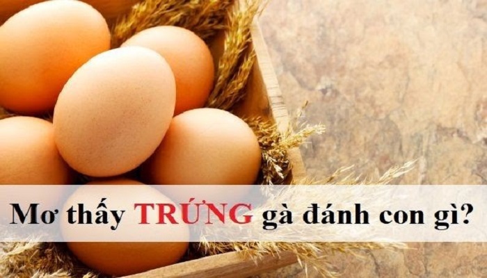 Mơ thấy trứng gà đánh con gì có cơ hội thắng lớn phá đảo nhà cái